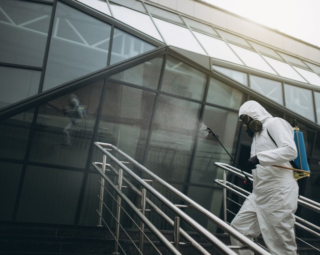 嚙蟲與白蟻防治